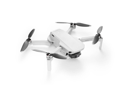 Mavic mini