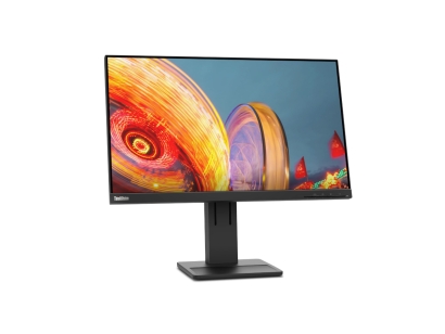  Lenovo ThinkVision E24q-10